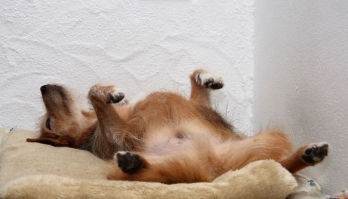 sleep-sleep-sleep image