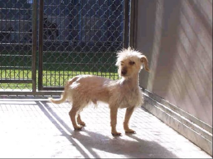 my-health-coach-turns-92 image