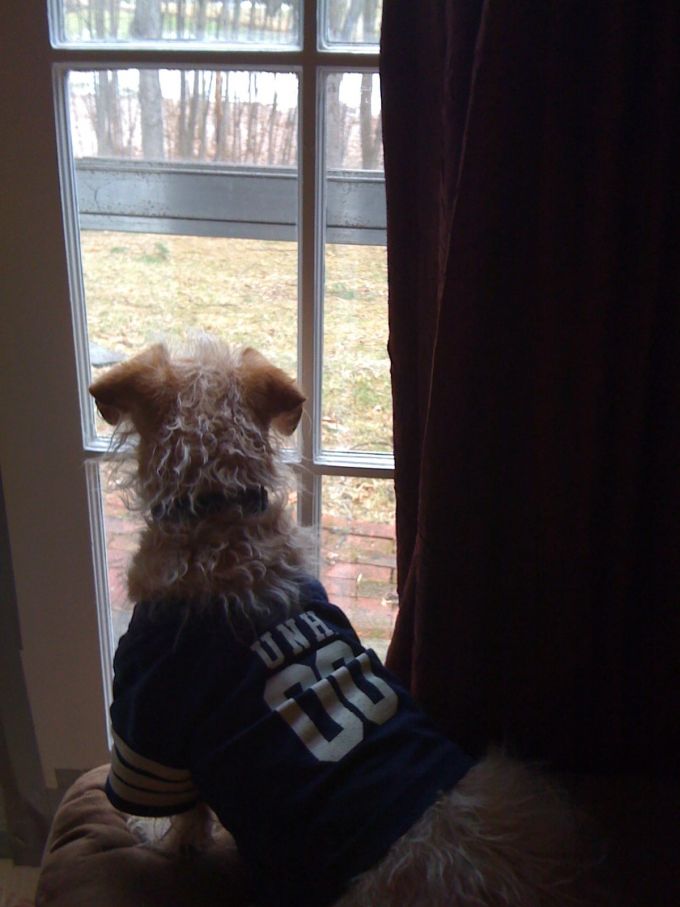 farewell-fergus image