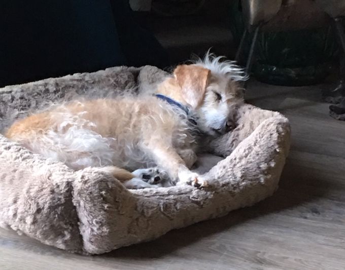 stare-yourself-calm image