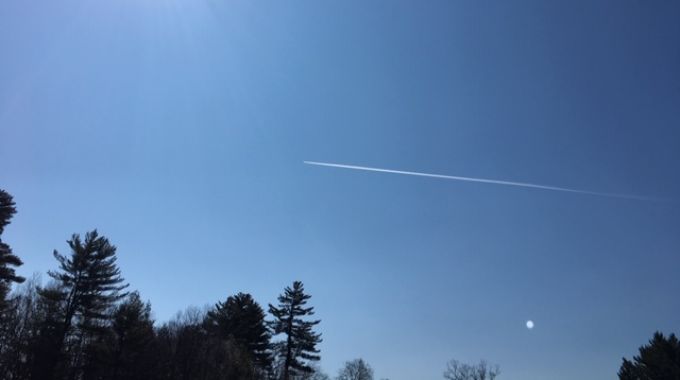 look-up-in-the-sky image