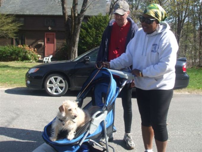 saying-goodbye-to-an-old-friend image